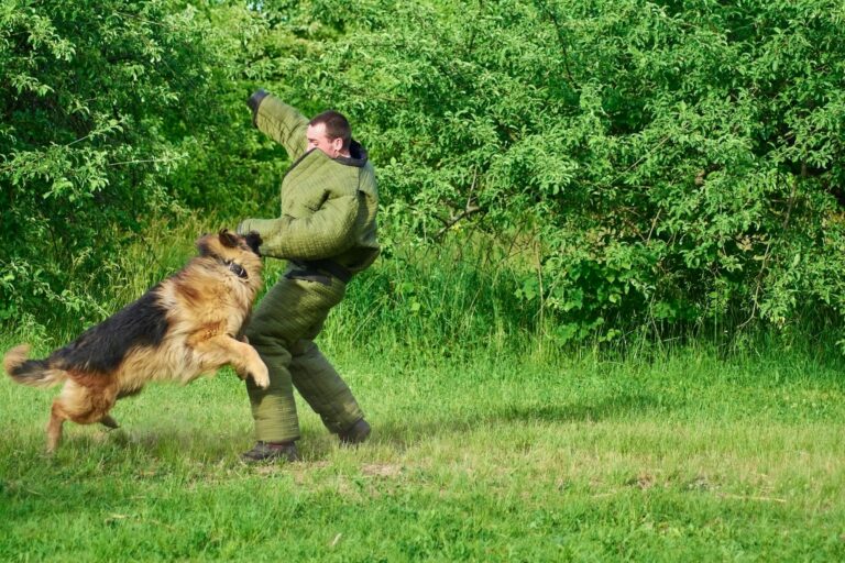 The hairy dog is biting the man with the special suit.