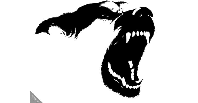 vector of an angry dog
