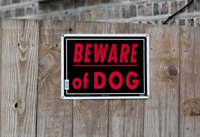 A dog bite lawyer in Enterprise, Nevada may be able to help you to maximize your compensation after a dog attack injury.