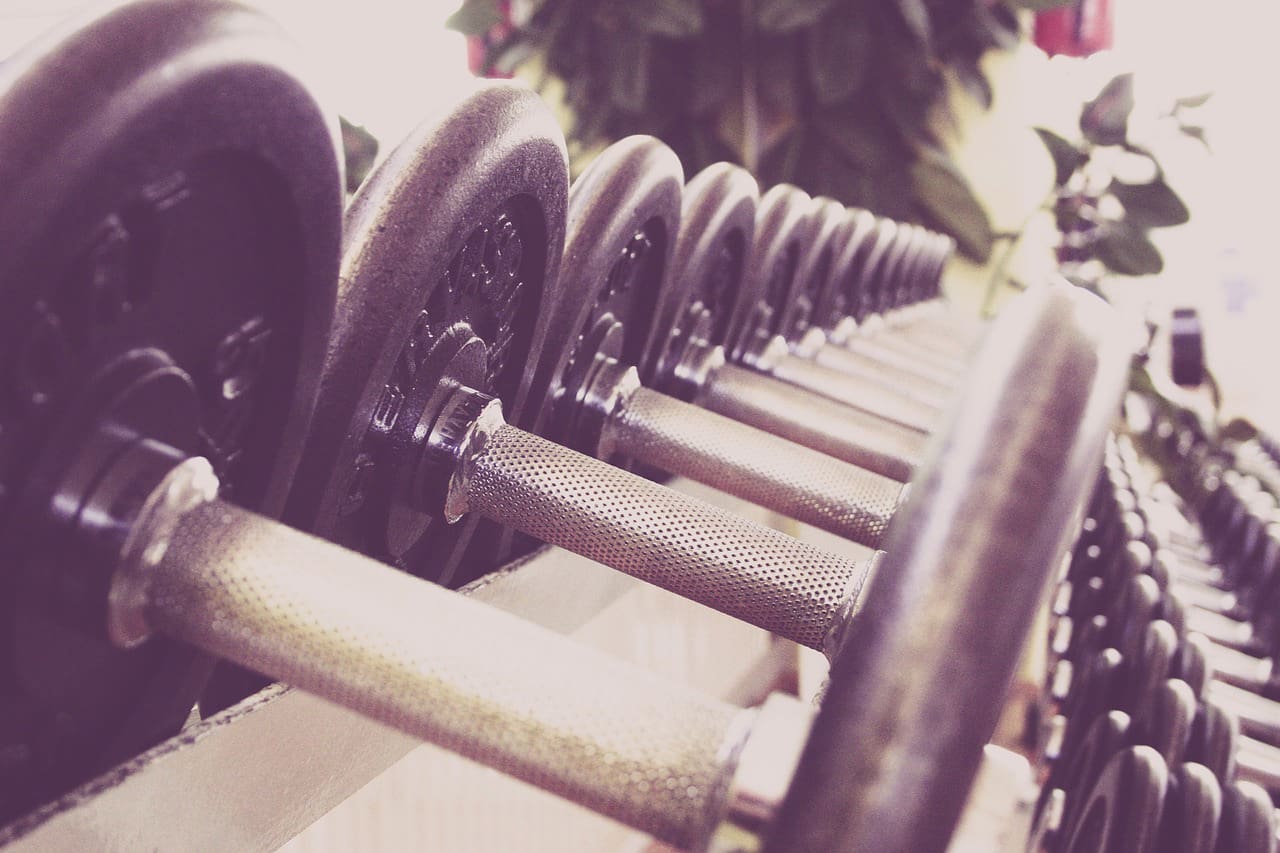 Gym weights