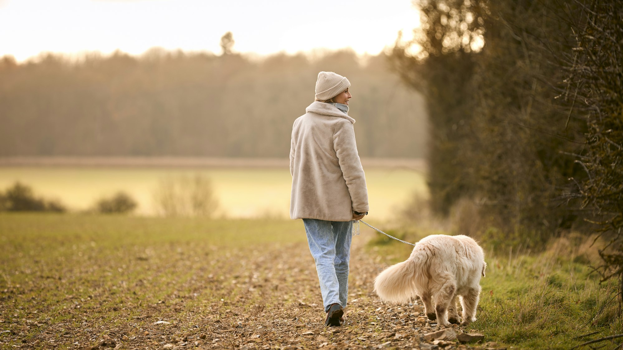 Rear View Of Woman Taking Golden Retriever Dog For Walk On Lead Around Field In Autumn Countryside