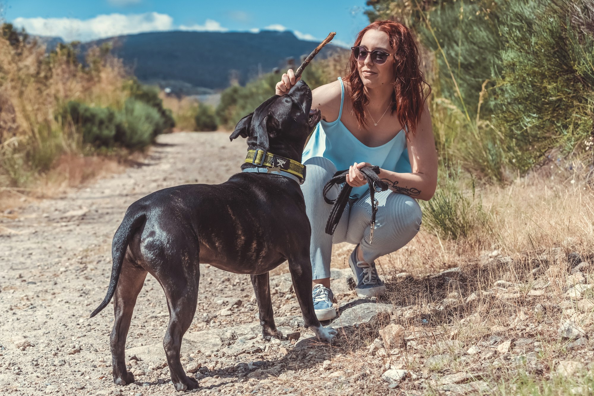 Girl playing withpit bull dog in nature
