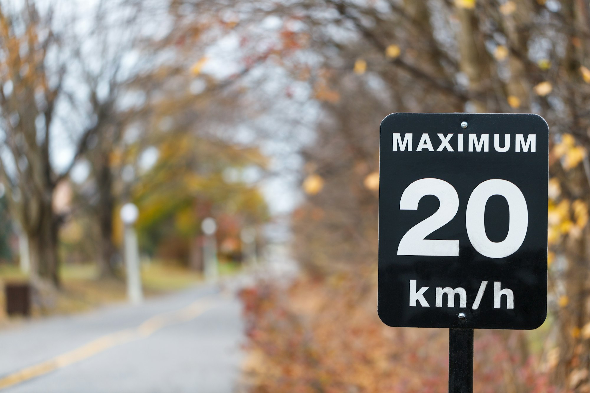 Speed limit sign, 20 kilometers per hour for bicycle lanes in park