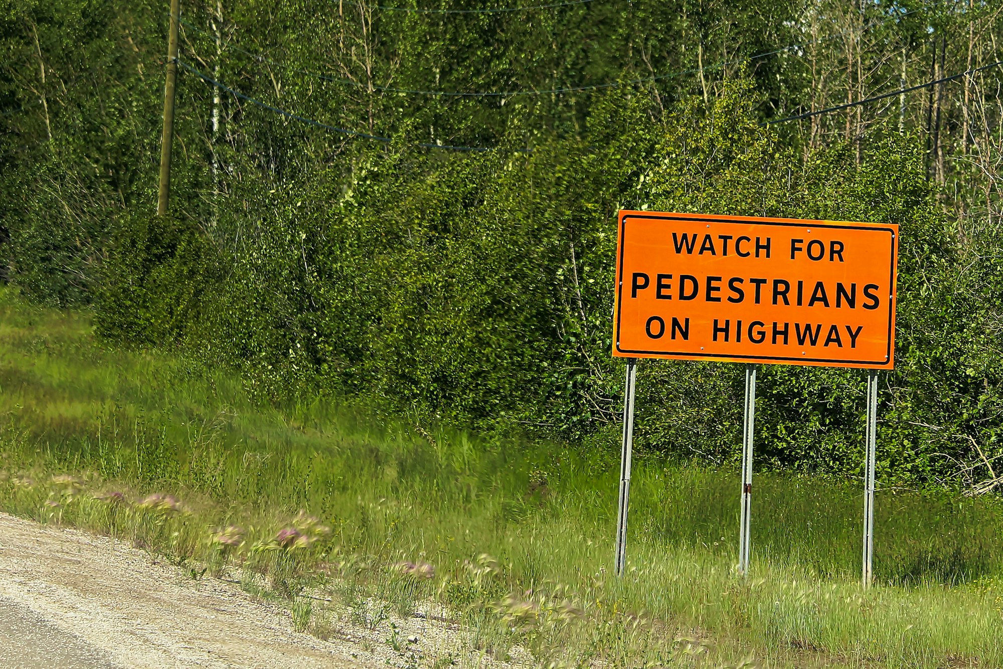 Watch for pedestrians on roadway sign beside a road