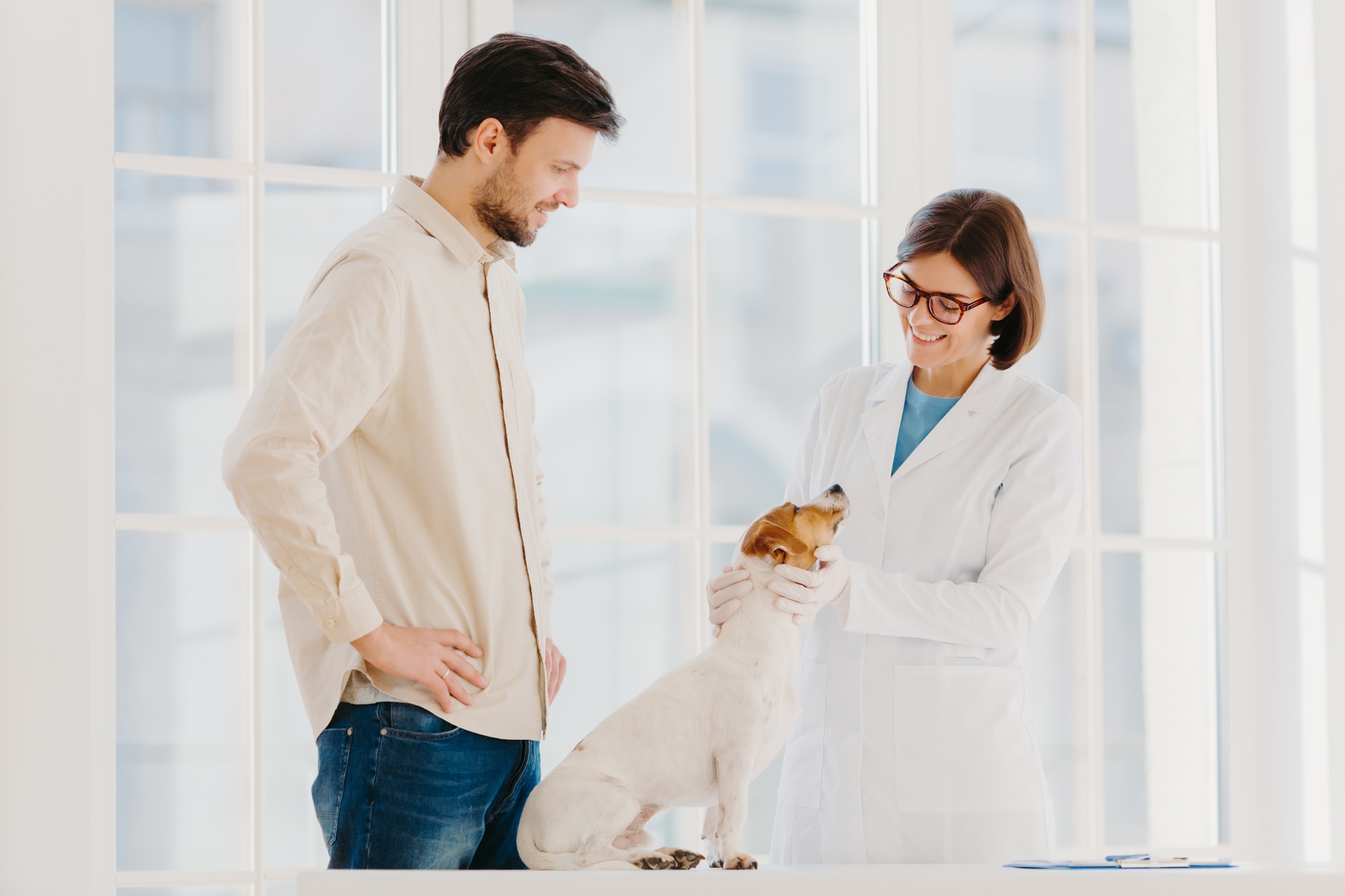 Experienced female vet examines dog